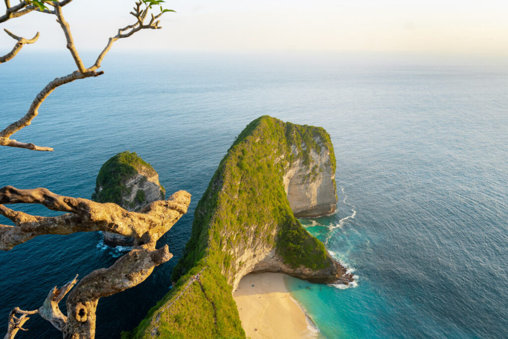 The iconic Kelingking Beach in Nusa Penida with its unique T-rex shaped rock glowing at sunset. 